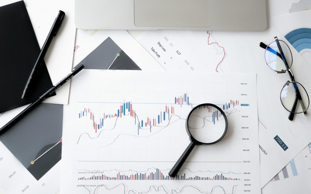 White Crown Partners : réinventer la finance d’entreprise à l’ère du digital
